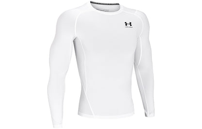 Спортивный лонгслив мужской Under Armour Andromeda