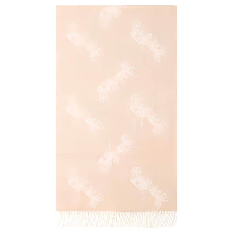 Шарф Coach - Boxette Shop