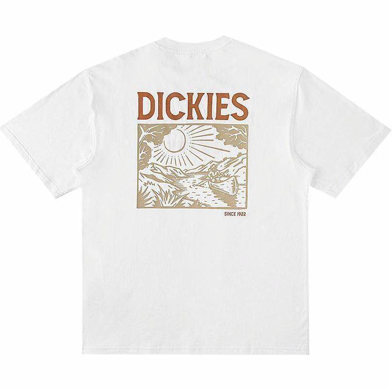 Футболка Dickies Loose Fit - Boxette Shop