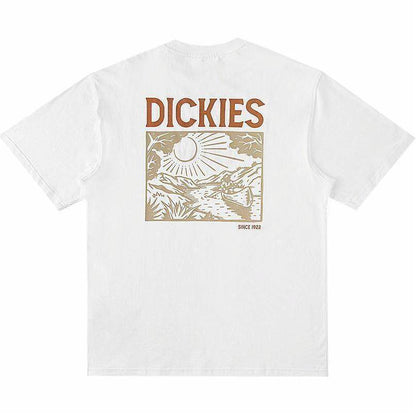 Футболка Dickies Loose Fit - Boxette Shop