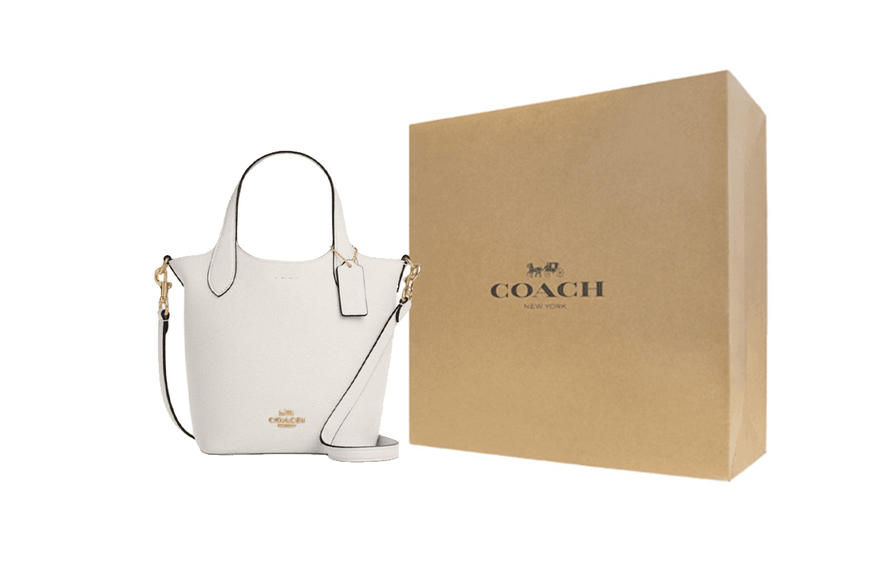 Сумка женская Coach Hanna 17 - Boxette Shop