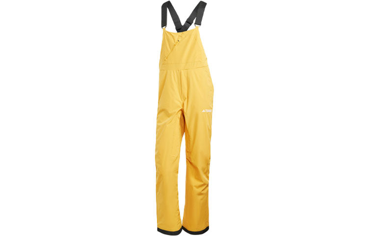 Брюки горнолыжные мужские Adidas Terrex Xperior 2L