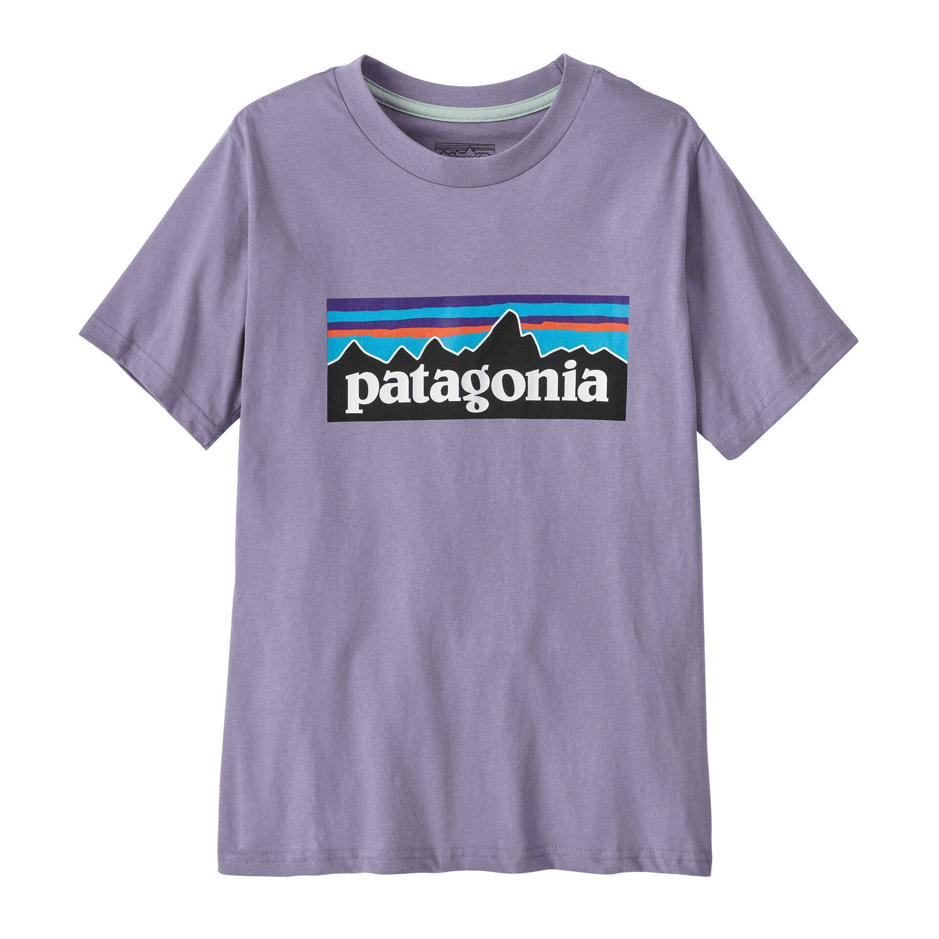 Футболка детская Patagonia P 6 Logo Patterned Printed - Boxette Shop