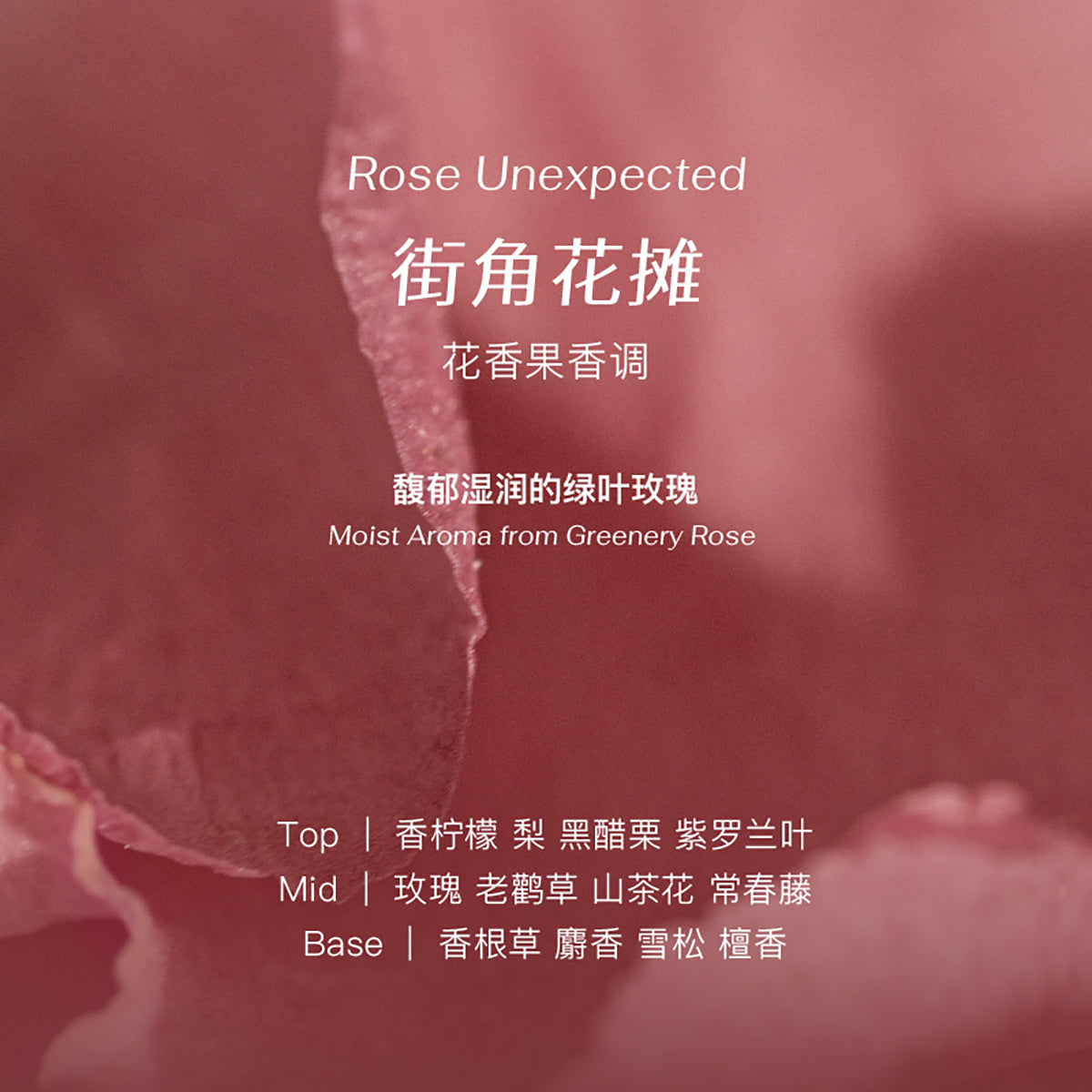 Подарочный набор для очищения и увлажнения тела с ароматом чиллмора "цветочный киоск на углу улицы