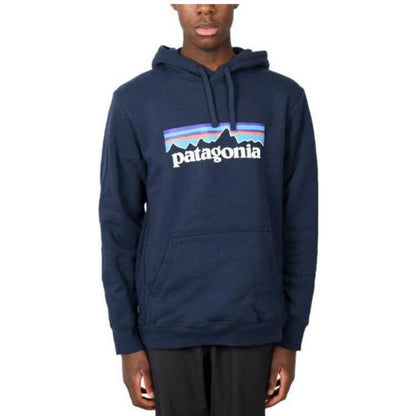 Худи Patagonia SS22