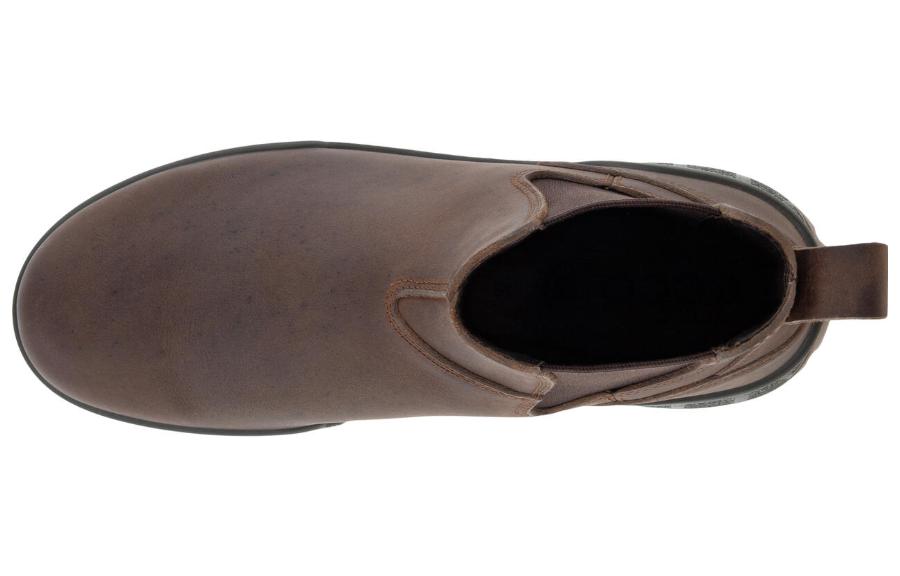 Ботинки женские ECCO