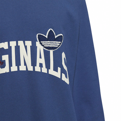 Adidas Originals erkaklar kozok