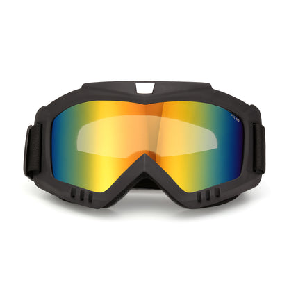 Очки горнолыжные PULAIS