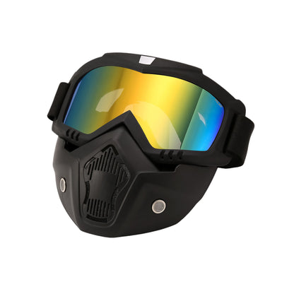 Очки горнолыжные PULAIS