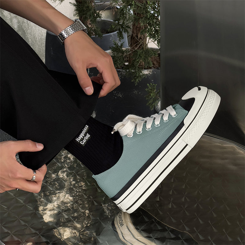 Vanssi erkaklar krossovkalari