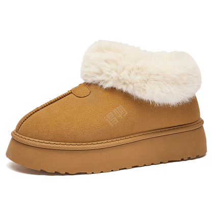 Сапоги женские AAA SINCE 1955 - Boxette Shop