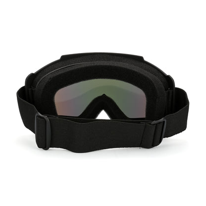 Очки горнолыжные PULAIS