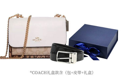 Сумка женская Coach Klare 21 Classic Colour Block Chain - Boxette Shop