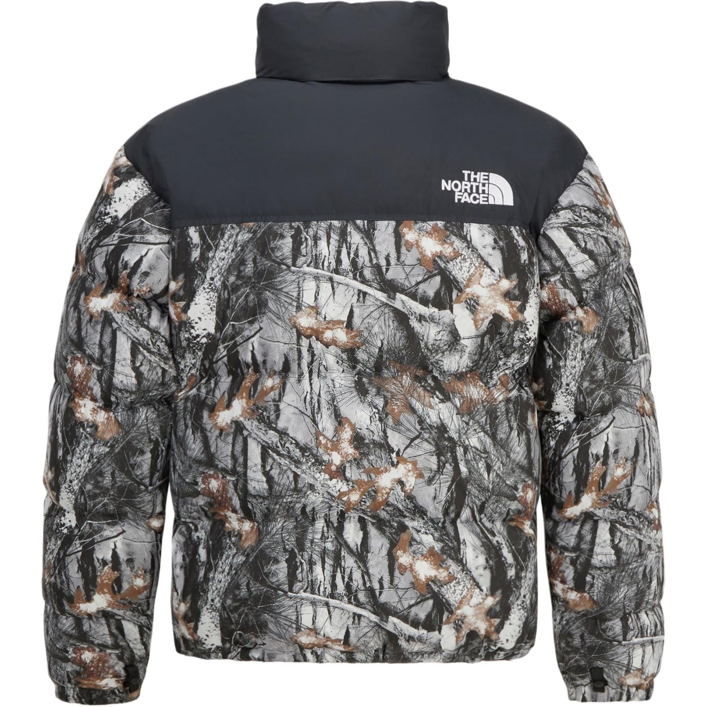 Пуховик мужской The North Face