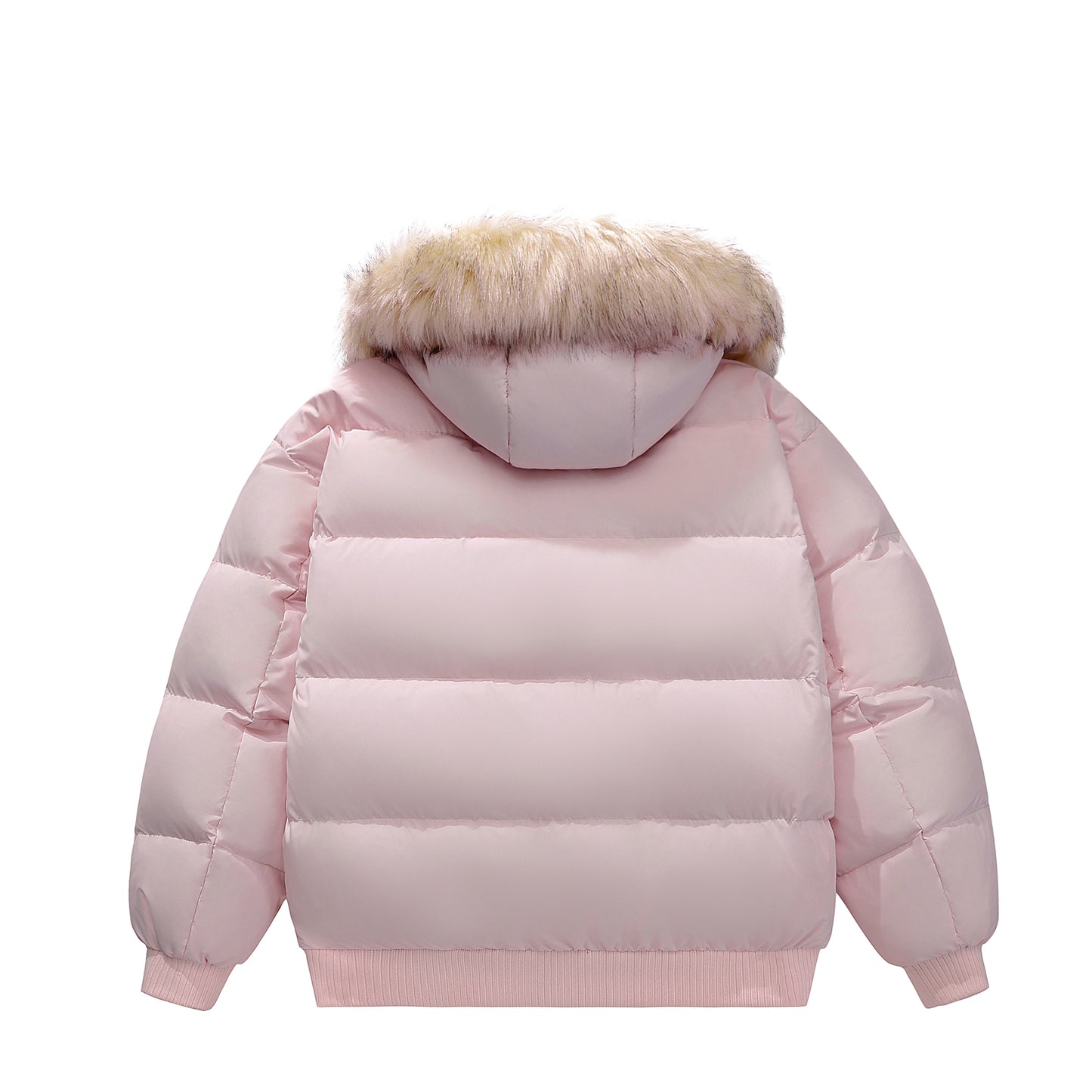 Simpsonsning pastki kurtkasi