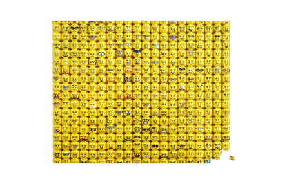 LEGO konstruktor boshqotirmasi "Kichik odamning yuzi" (5007070)
