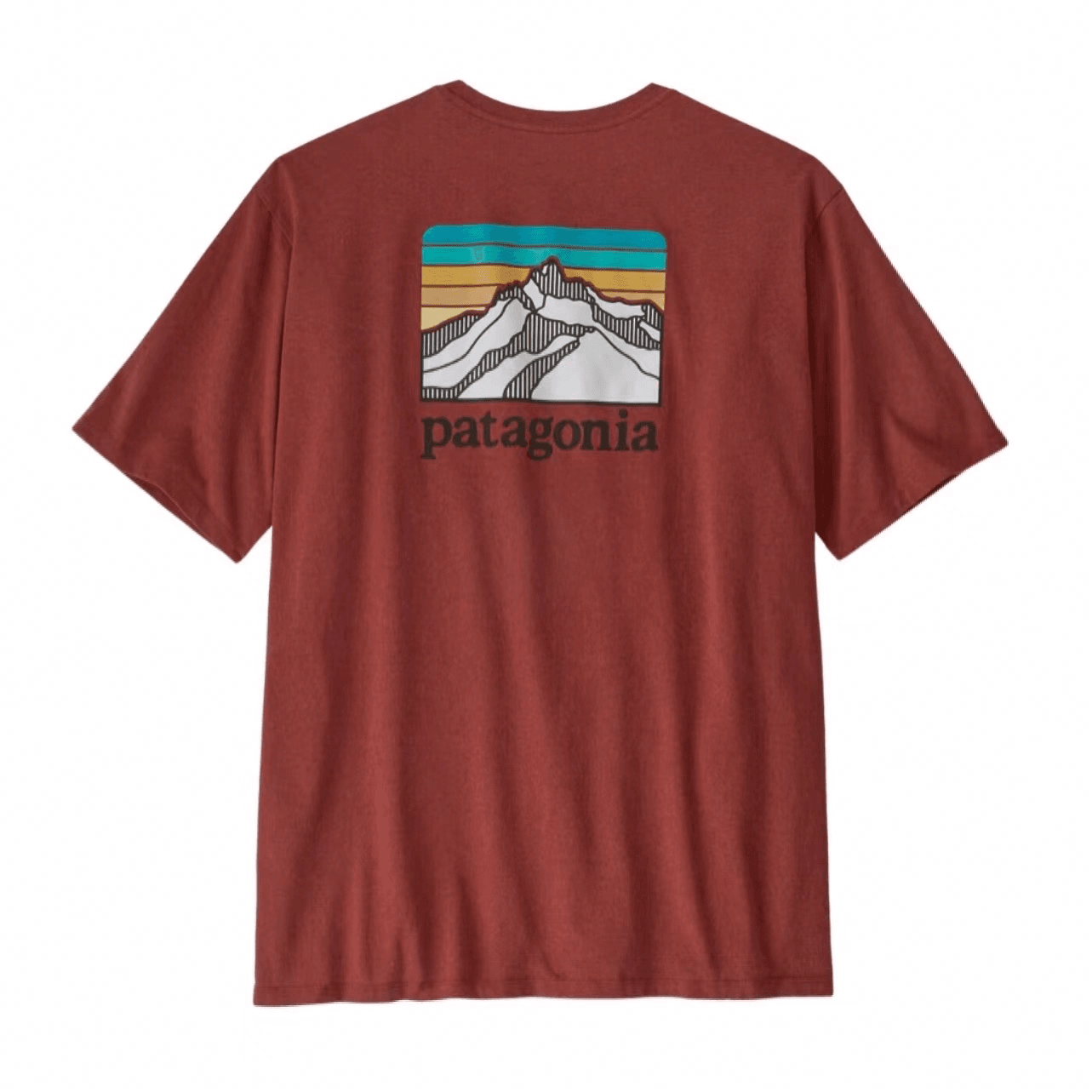 Футболка мужская Patagonia с логотипом - Boxette Shop