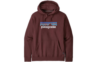 Худи Patagonia SS22