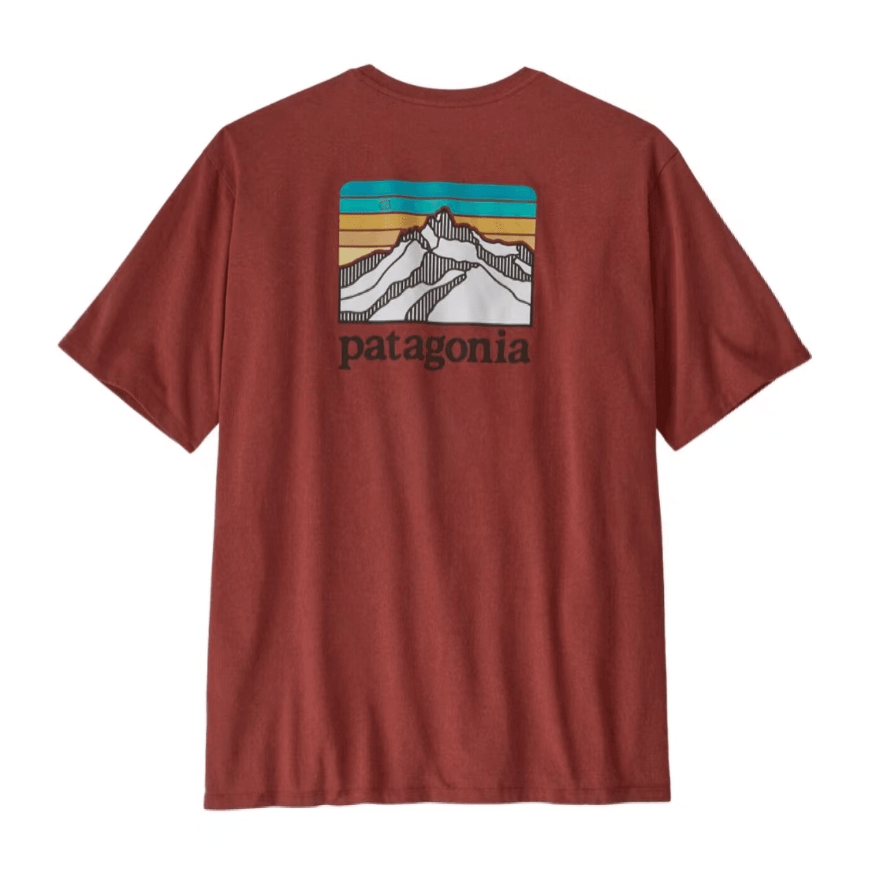 Футболка мужская Patagonia с логотипом - Boxette Shop