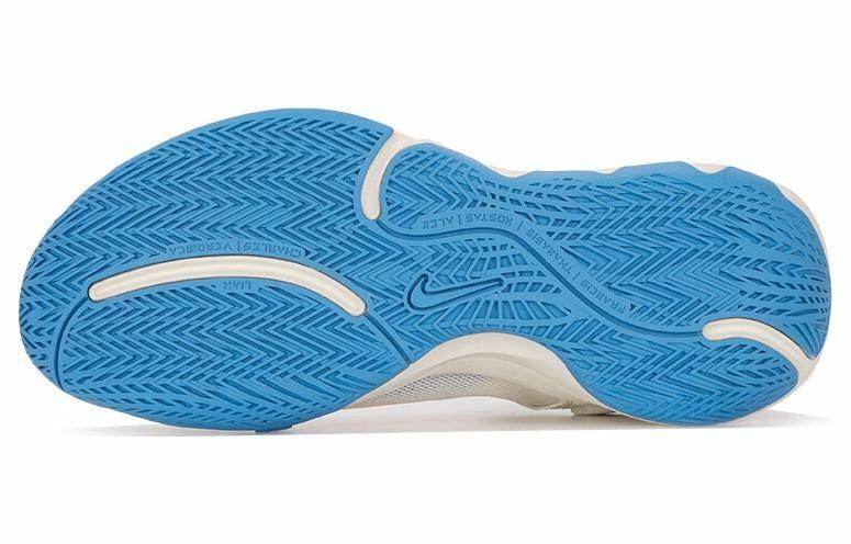 Кроссовки мужские Nike Giannis Immortality 2 - Boxette Shop