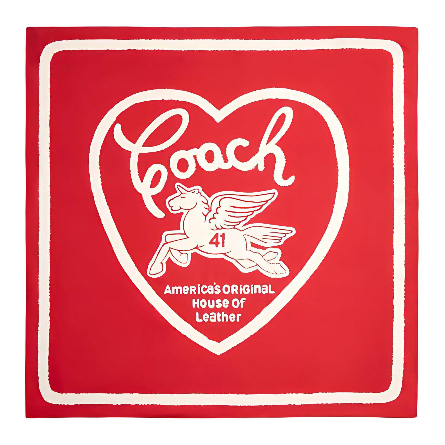 Платок женский Coach - Boxette Shop