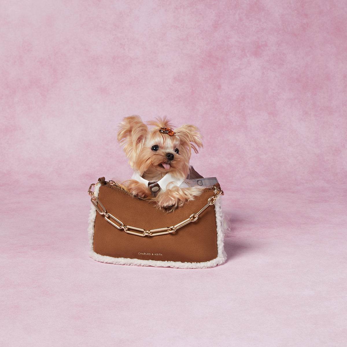 Сумка женская Charles&Keith - Boxette Shop