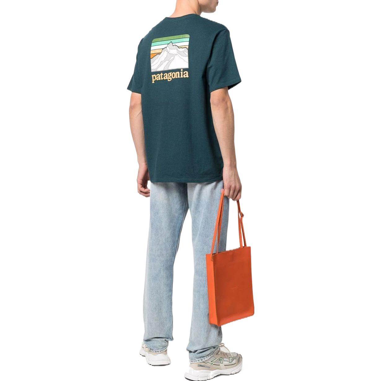 Футболка мужская Patagonia с логотипом - Boxette Shop