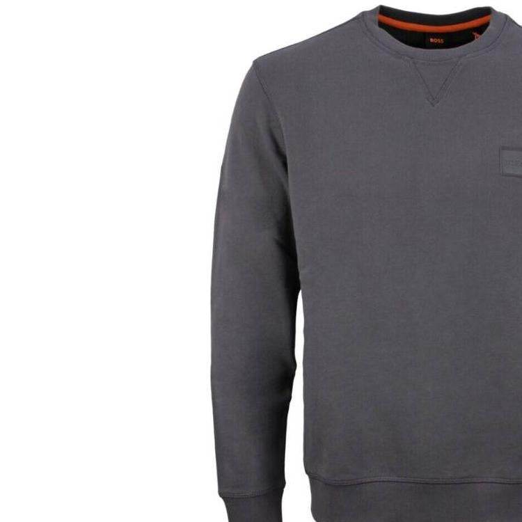 Свитшот мужской Hugo Boss Colour Label Crew Neck Long - Boxette Shop