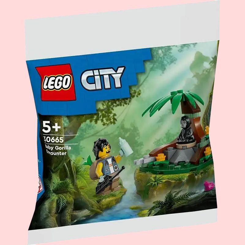 LEGO konstruktori "Chimpanze bilan tanishing" (30665)