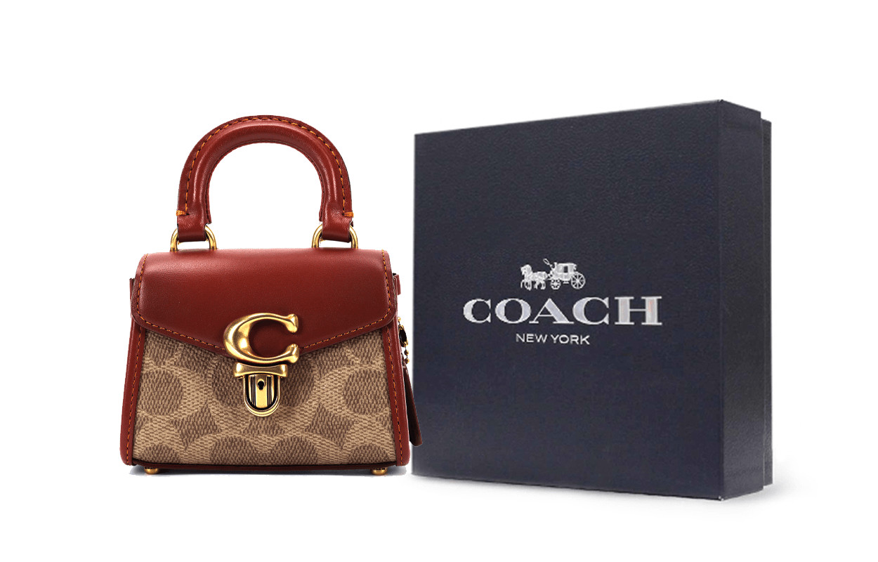 Сумка женская Coach Sammy 12 Label Push Lock Closure - Boxette Shop