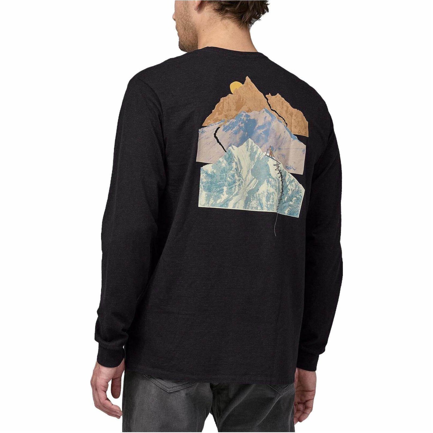 Лонгслив мужской Patagonia - Boxette Shop