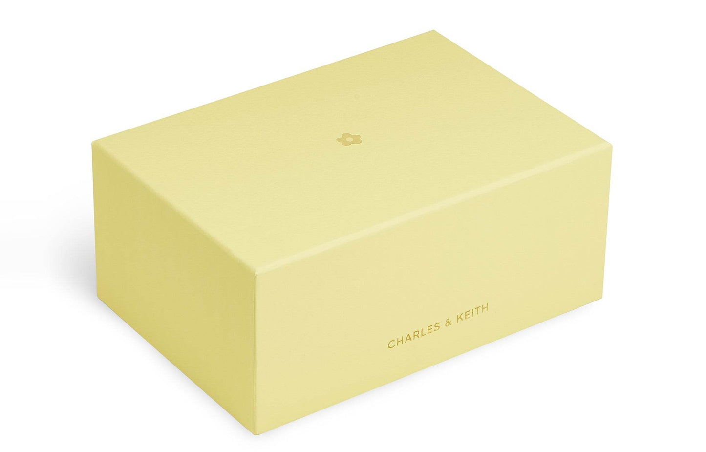 Сумка женская Charles&Keith 25 Multi - Boxette Shop