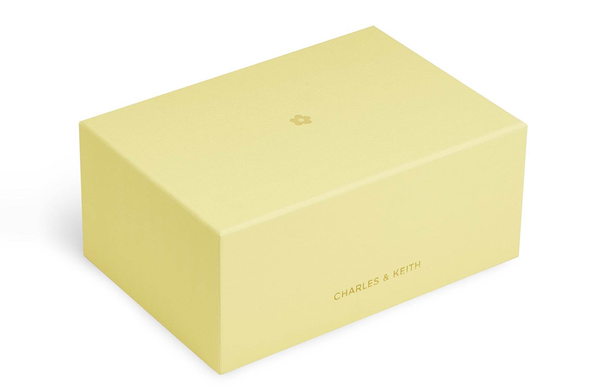 Сумка женская Charles&Keith 25 Multi - Boxette Shop